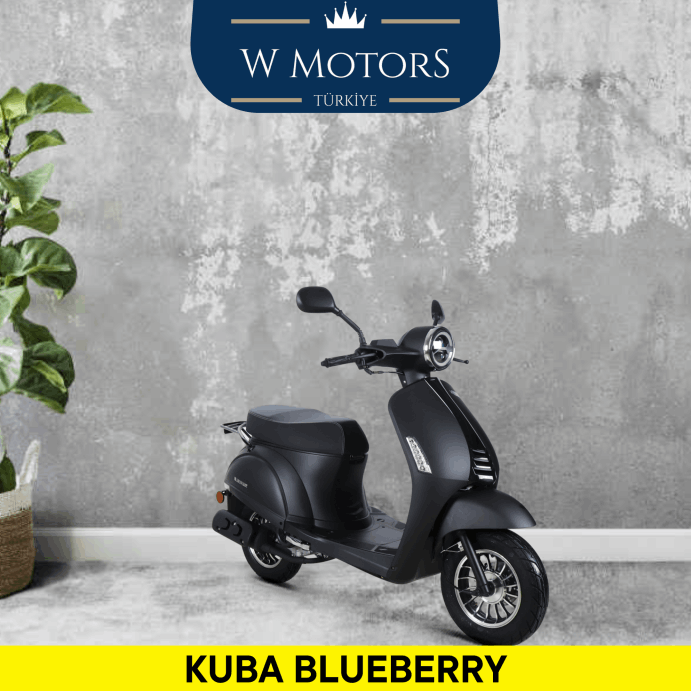 SATILIK KUBA BLUEBERRY - W Motors Türkiye