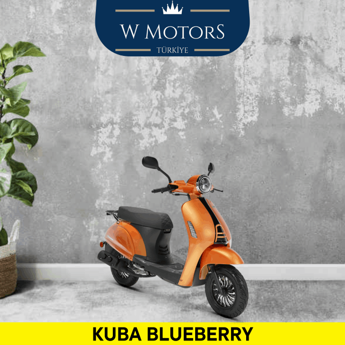 SATILIK KUBA BLUEBERRY - W Motors Türkiye